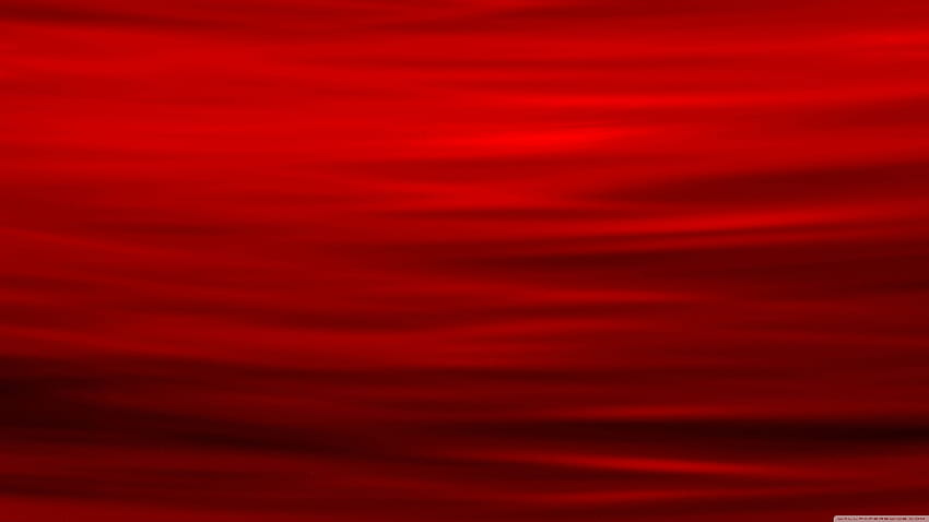 Top Red Royalty, Red HP papel de parede HD
