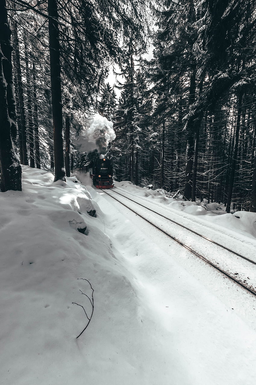 Winter, Schnee, Verschiedenes, Sonstiges, Wald, Zug, Lokomotive, Dampflokomotive HD-Handy-Hintergrundbild