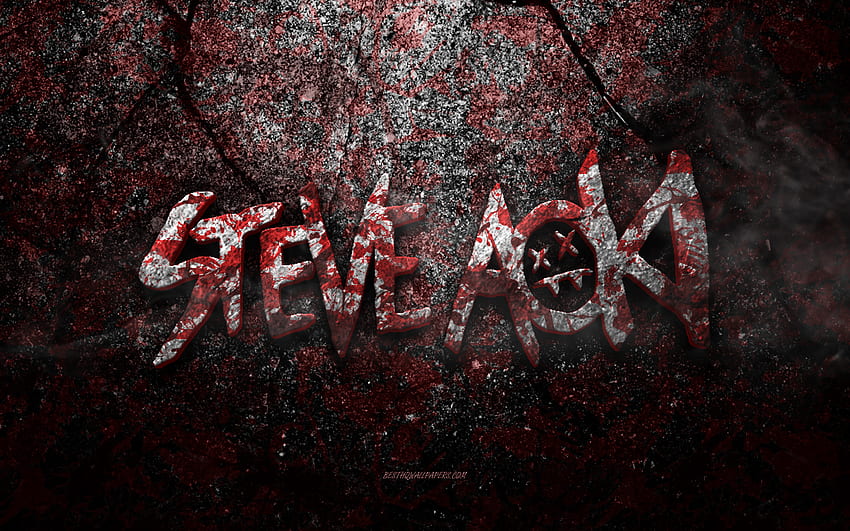 Logo Steve'a Aoki, sztuka grunge, logo kamienia Steve'a Aoki, tekstura czerwonego kamienia, Steve Aoki, tekstura kamienia grunge, emblemat Steve'a Aoki, logo Steve'a Aoki 3d Tapeta HD