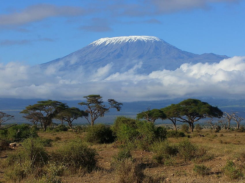 Kilimandżaro, naturalny Tapeta HD