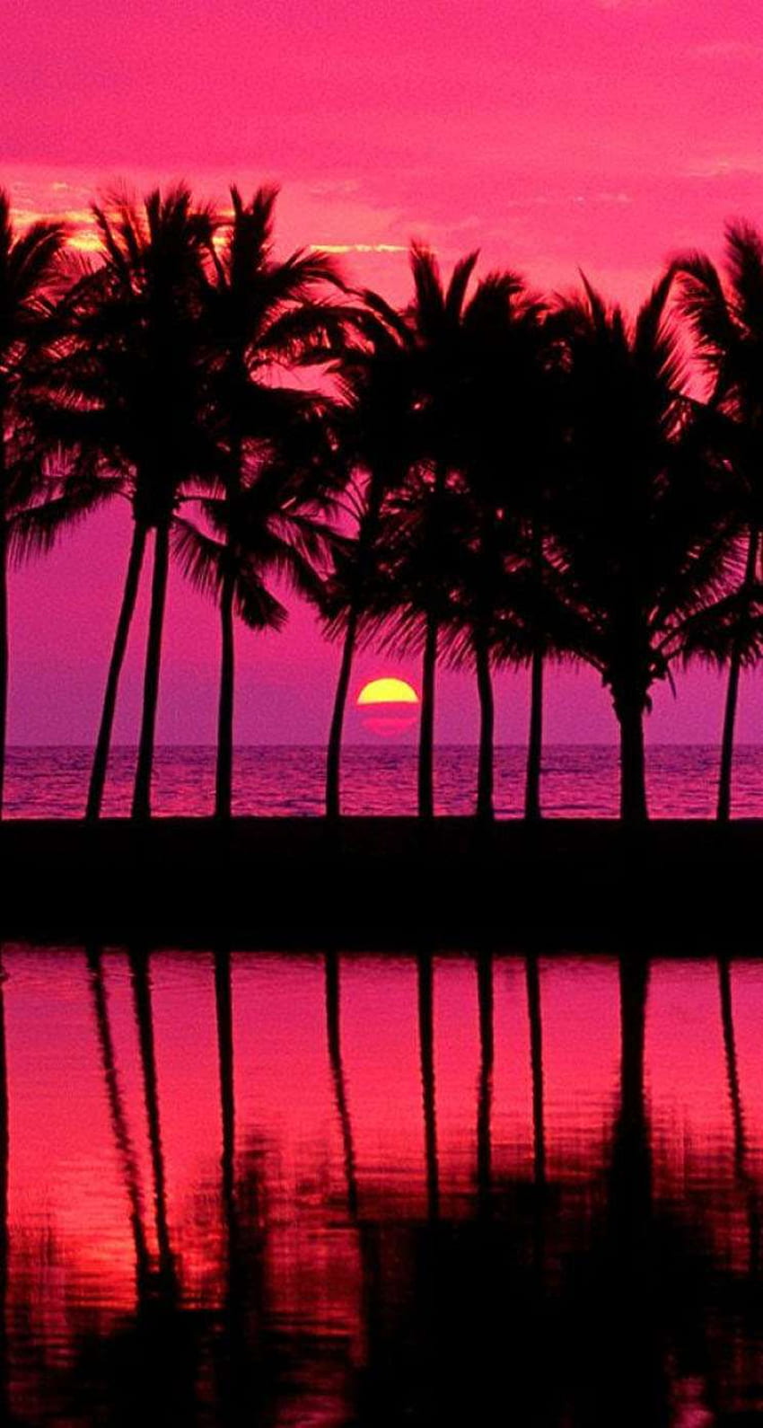 Pink Los Angeles Sunset, Palm Sunset HD phone wallpaper
