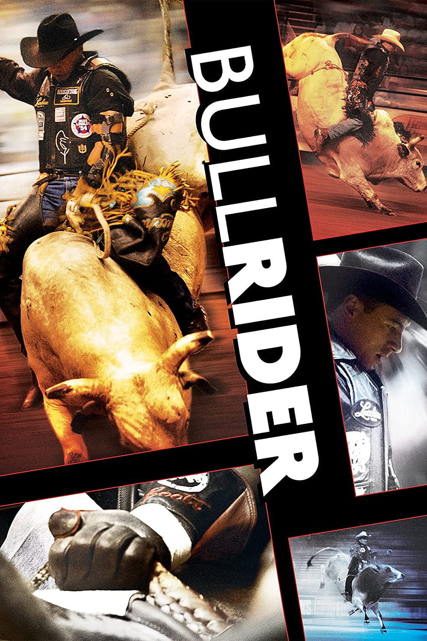 Bullrider, Bull, Ride HD phone wallpaper