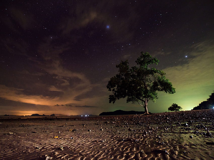 Nature, Night, Sand, Wood, Tree, Starry Sky, Thailand, Koh Lanta, Ko Lanta HD wallpaper