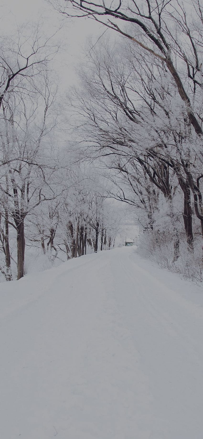 iPhone X: Winter Straße romantisch Natur Berg Schnee via Magazin Ihre tägliche Quelle für das Beste aus der ganzen Welt HD-Handy-Hintergrundbild