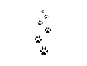 You searched for tattoo design animal claw marks