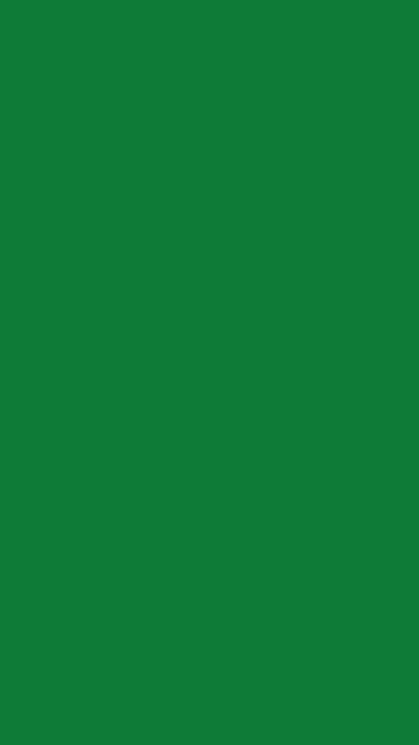 Use este BLOG como uma ferramenta de esquema de cores!: Verde floresta Papel de parede de celular HD