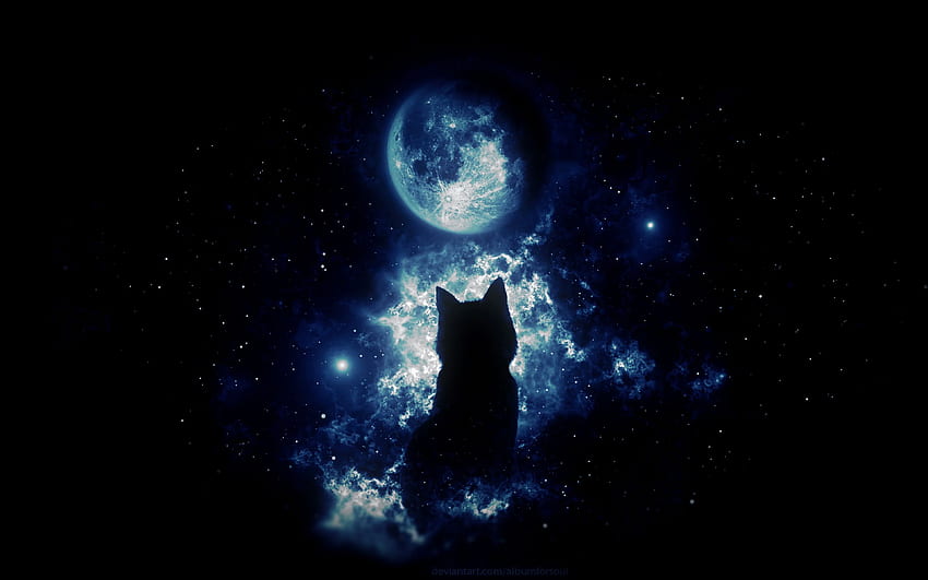 고양이, 실루엣, 달, 별이 빛나는 하늘, 예술, 판타지 울트라 16:10 배경, 검은 고양이 달 HD 월페이퍼