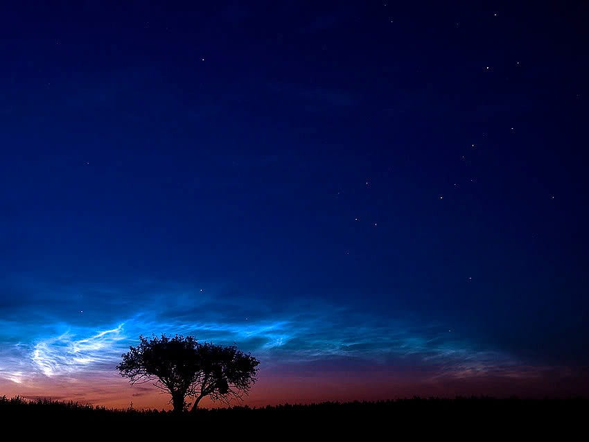 Noite de safira, horizonte, rosa, luz, azul profundo, céu, estrelas, árvore papel de parede HD
