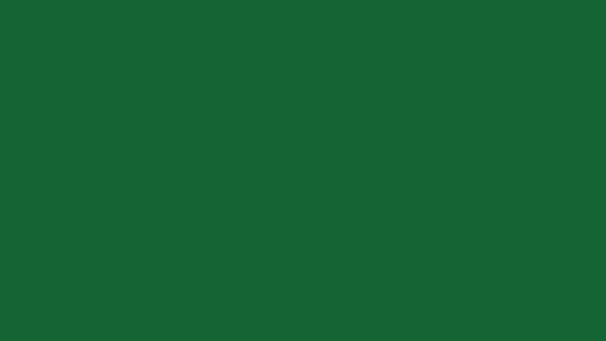 di colore solido verde scuro: vettore,, PNG, file PSD, semplice verde scuro Sfondo HD