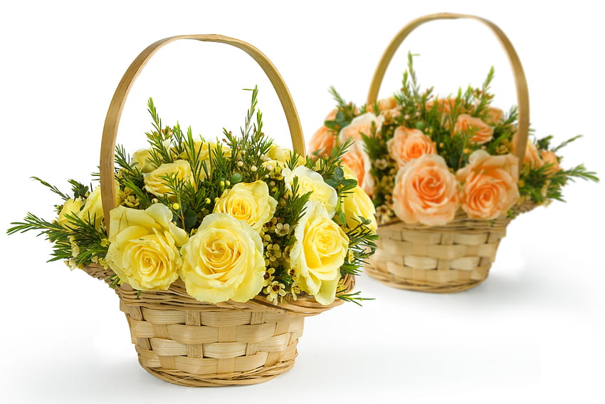 กุหลาบ ช่อดอกไม้ กราฟิค หรูหรา สวย ดี ตะกร้า หุ่นนิ่ง กุหลาบ ดอกไม้ เย็น ดอกไม้ กระเช้า ความสามัคคี วอลล์เปเปอร์ HD