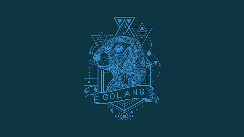 Getting Going With Go (Golang). Or why the future of my code is. by Paul van Zyl, Solarized Linux HD wallpaper