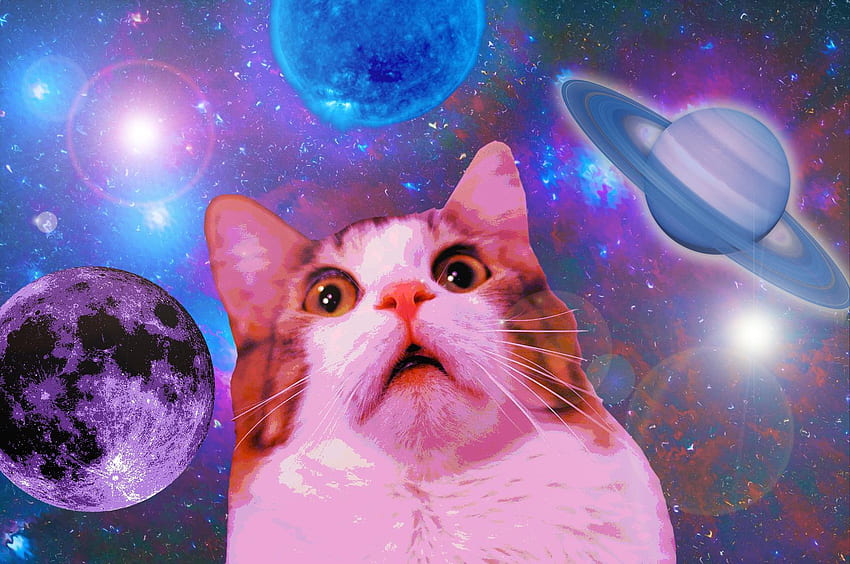 Space Cat für iPhone, Katzen im Weltraum HD-Hintergrundbild