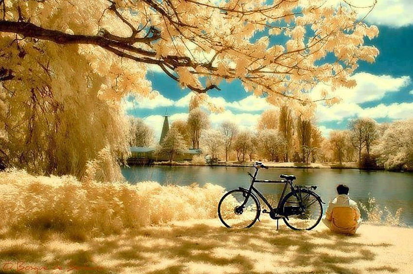 Random Bliss, golden, peaceful, church, lake, quiet, bike, trees, bliss, bycycle HD wallpaper