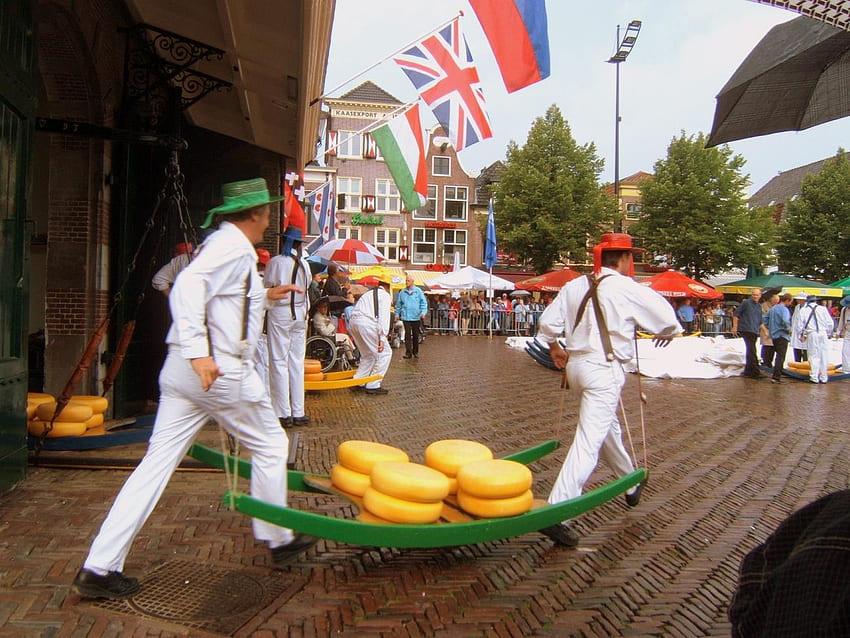 Cheese market Alkmaar Holland, white, suits, alkmaar, banners, green hat, porters, cheese, red hat, market, wet street HD wallpaper