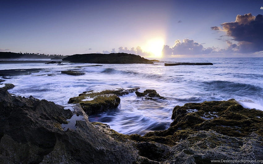 Manati Puerto Rico WallDevil Best HD wallpaper | Pxfuel