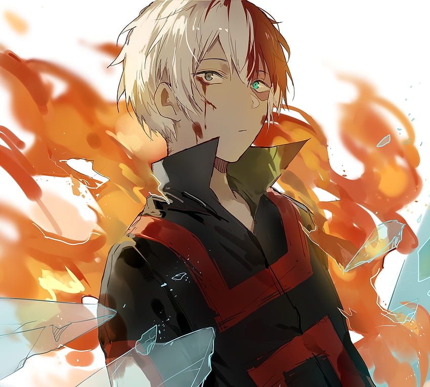 Boku no Hero Academia, anime, Shouto Todoroki, art HD wallpaper | Pxfuel