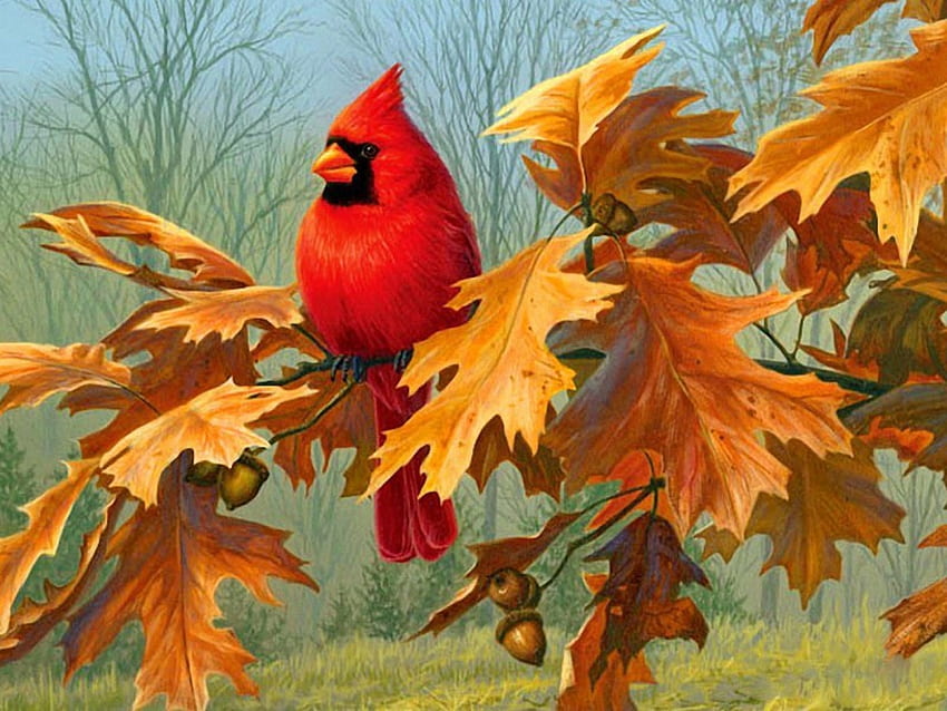 Red Cardinal, autumn, leaves, bird, red HD wallpaper