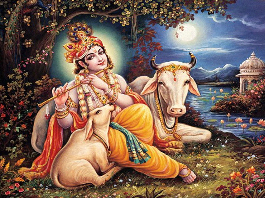 Lord Krishna And Cow - Lord Krishna With Cow - - teahub.io HD 월페이퍼