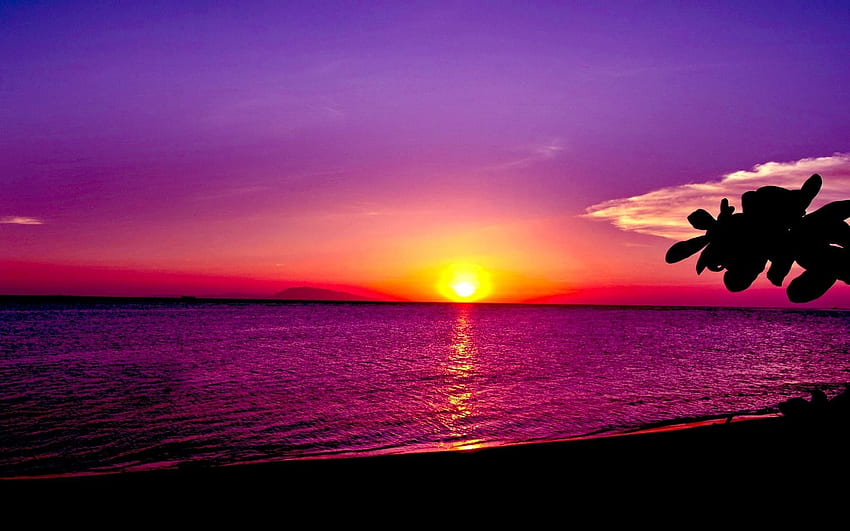 Залез () , , Фон,, Ocean Purple Sunset HD тапет