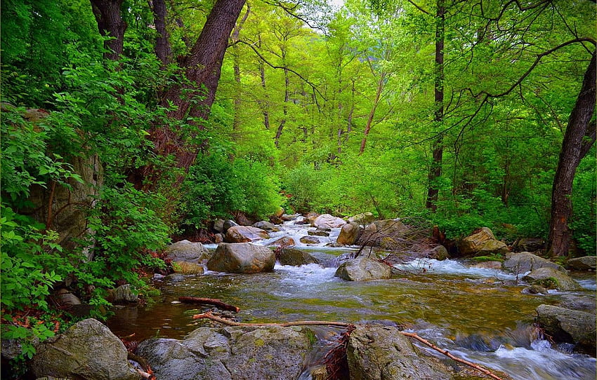 Stream, Spring, Forest, Stones, River, Spring, River, Forest, Flow for , section природа, Spring Rivers HD-Hintergrundbild