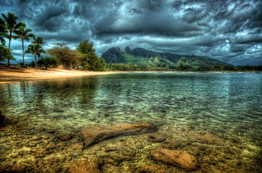 Strandwasser., Meer, Wasser, Palme, Strand HD-Hintergrundbild