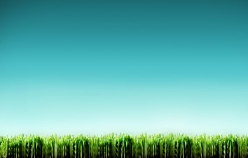 blue, minimalism, Grass for , section минимализм -, Minimalist Grass HD wallpaper