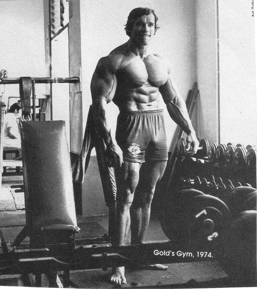 : Arnold Schwarzenegger, bodybuilding, Bodybuilder HD phone wallpaper