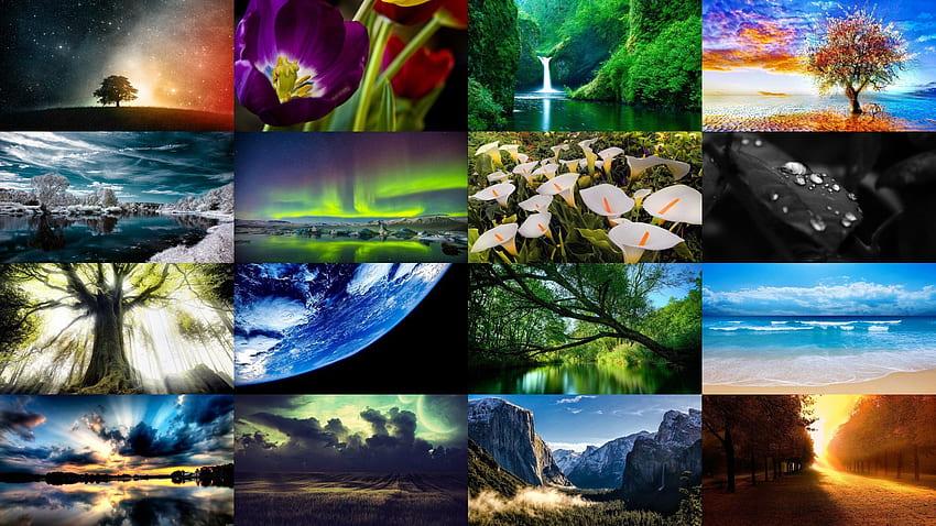 Earth Nature, Nature Collage HD wallpaper | Pxfuel