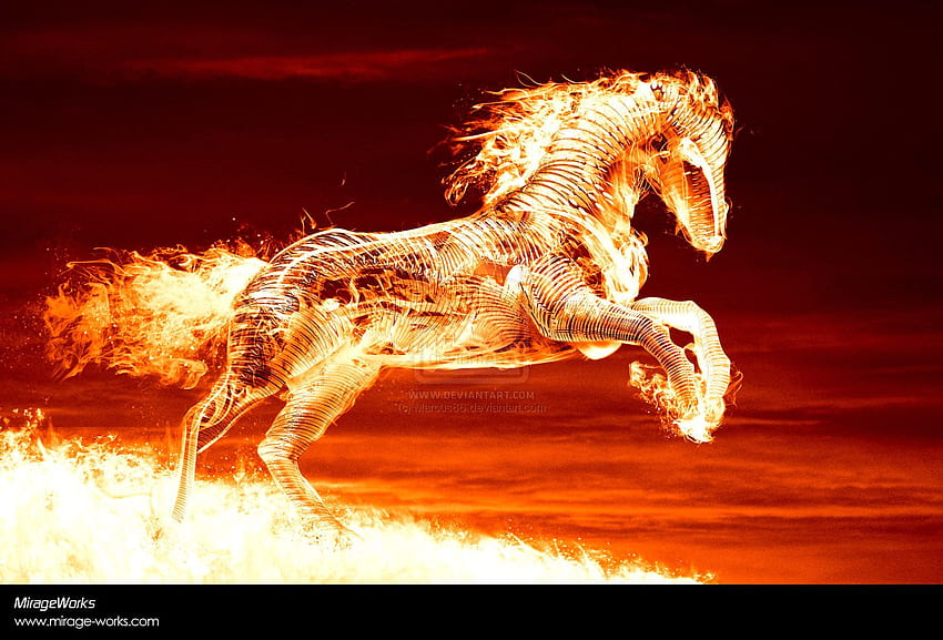 Fire Horse Eddition. Fire Horse All Colour HD wallpaper