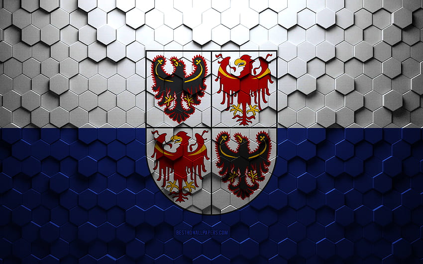 Flagge von Trentino-Südtirol, Wabenkunst, Trentino-Südtirol-Sechseck-Flagge, Trentino-Südtirol, 3D-Sechseck-Kunst, Trentino-Südtirol-Flagge HD-Hintergrundbild