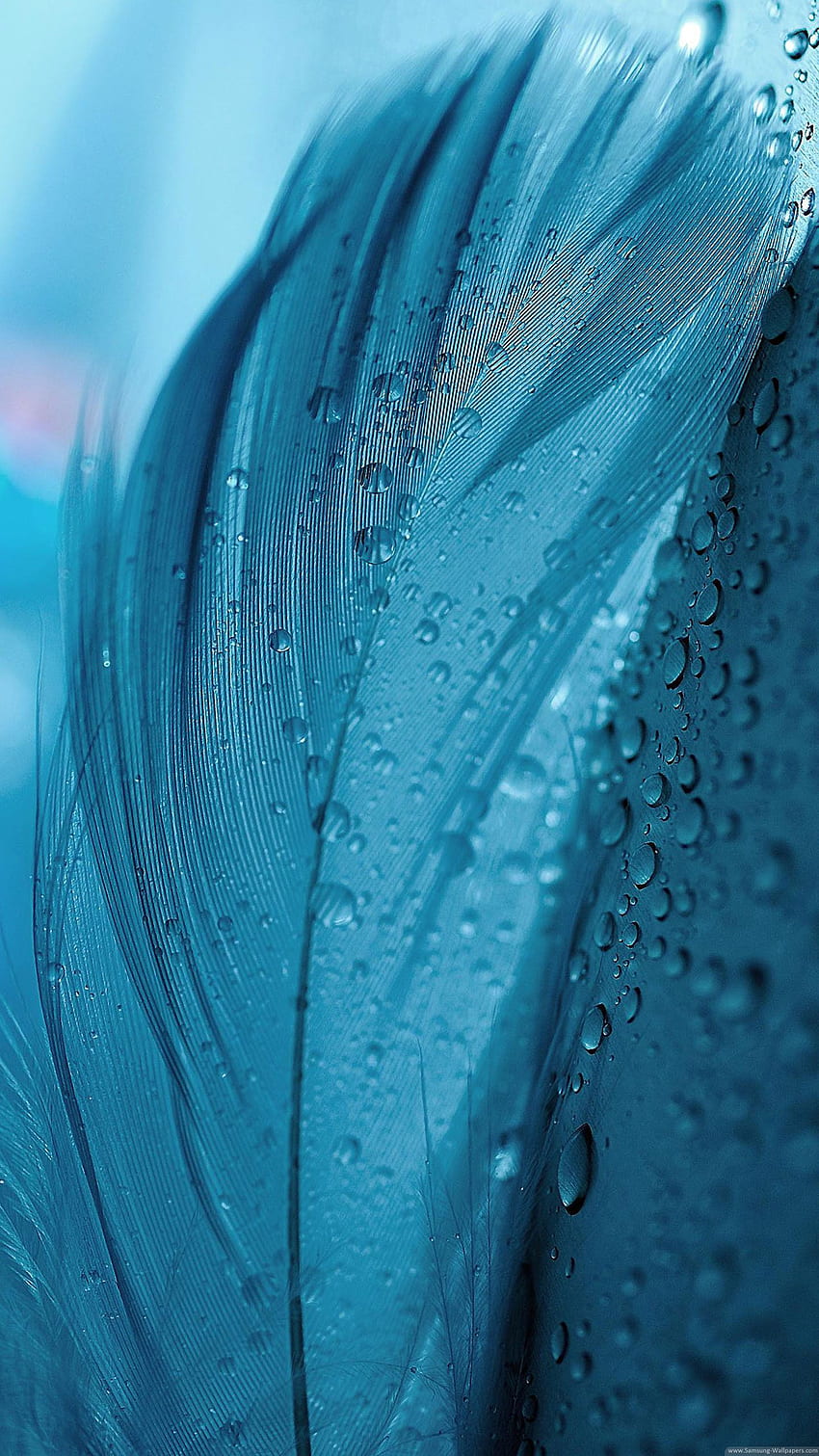 Mavi Tüy Stok Samsung Galaxy Note 4 _Samsung HD telefon duvar kağıdı