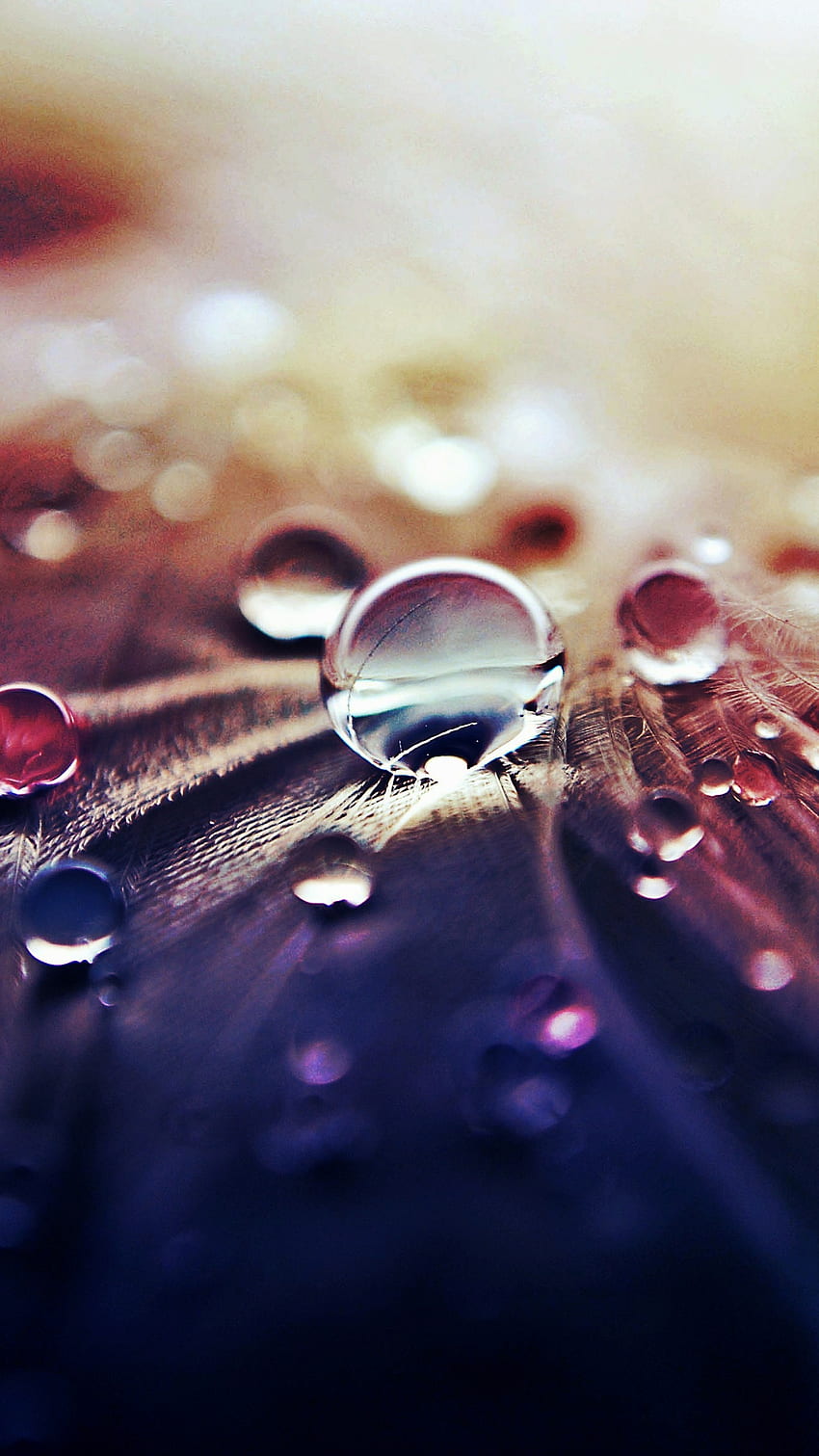 Water Drop Notch, Water Drop , water drop, h d HD phone wallpaper