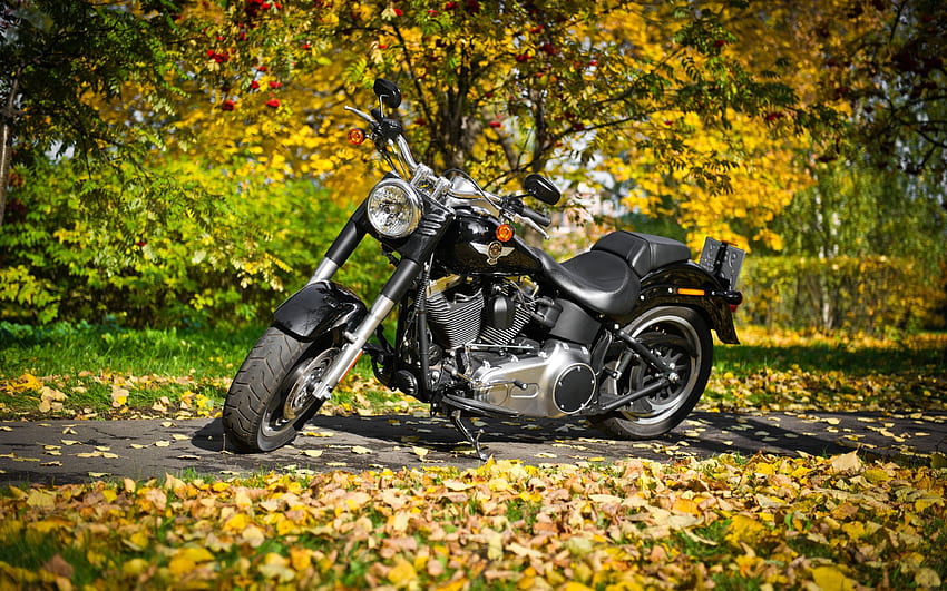 Automne, Motocyclette, Feuillage, Moto, Harley Davidson Fond d'écran HD
