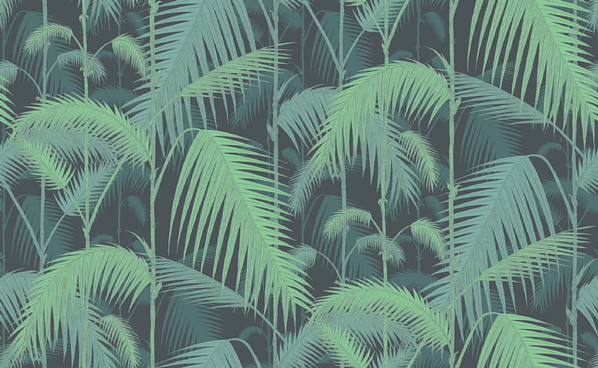 Beloved Palm Print Can Be Yours, Too, Jungle Print HD wallpaper