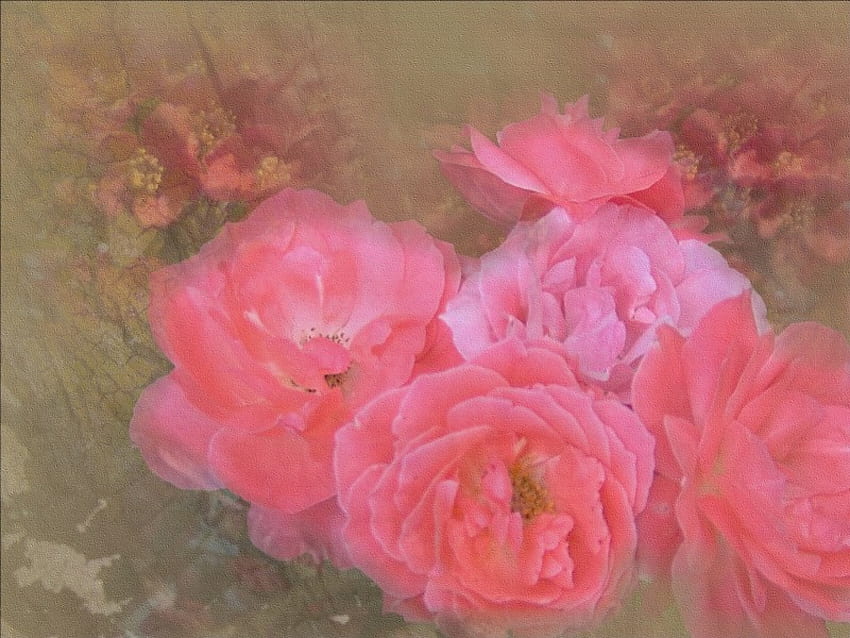 Pink Roses, pink, roses, painted, yellow, beautiful HD wallpaper