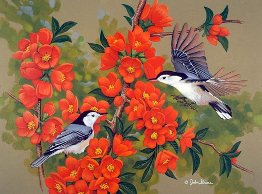By John Sloane, animal, john sloane, painting, bird, art, flower HD wallpaper