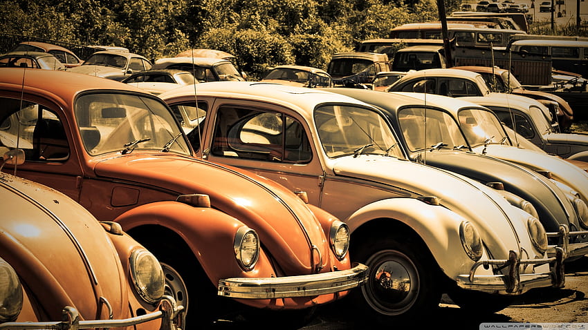 old volkswagen beetle junkyard 19201080 BlogNOBON [] for your , Mobile & Tablet. Explore VW Beetle . Vw Bus , Classic Beetle , VW Golf HD wallpaper