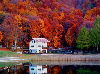 House, Nature, Trees, Autumn, Lake, Fog, Meadows HD wallpaper | Pxfuel