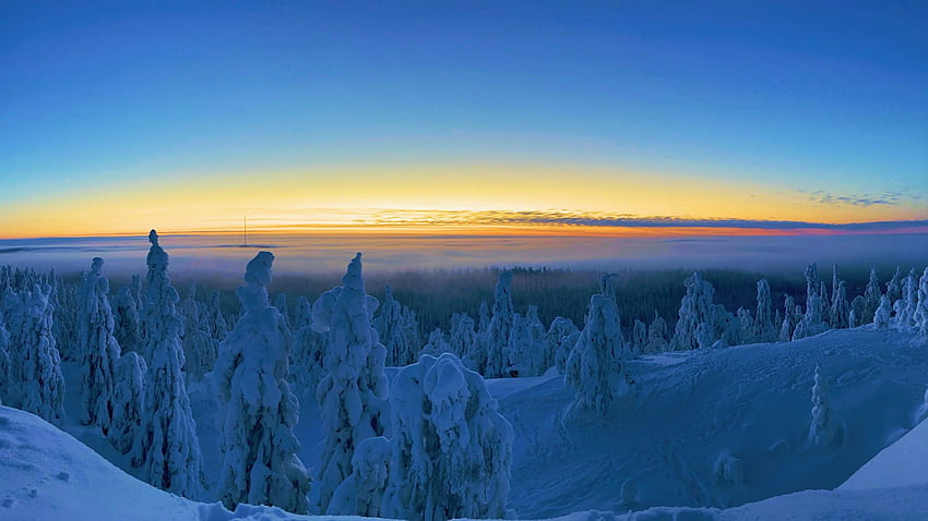 Finland, from the Koli national reserve, trees, sky, forest, snow, winter HD wallpaper
