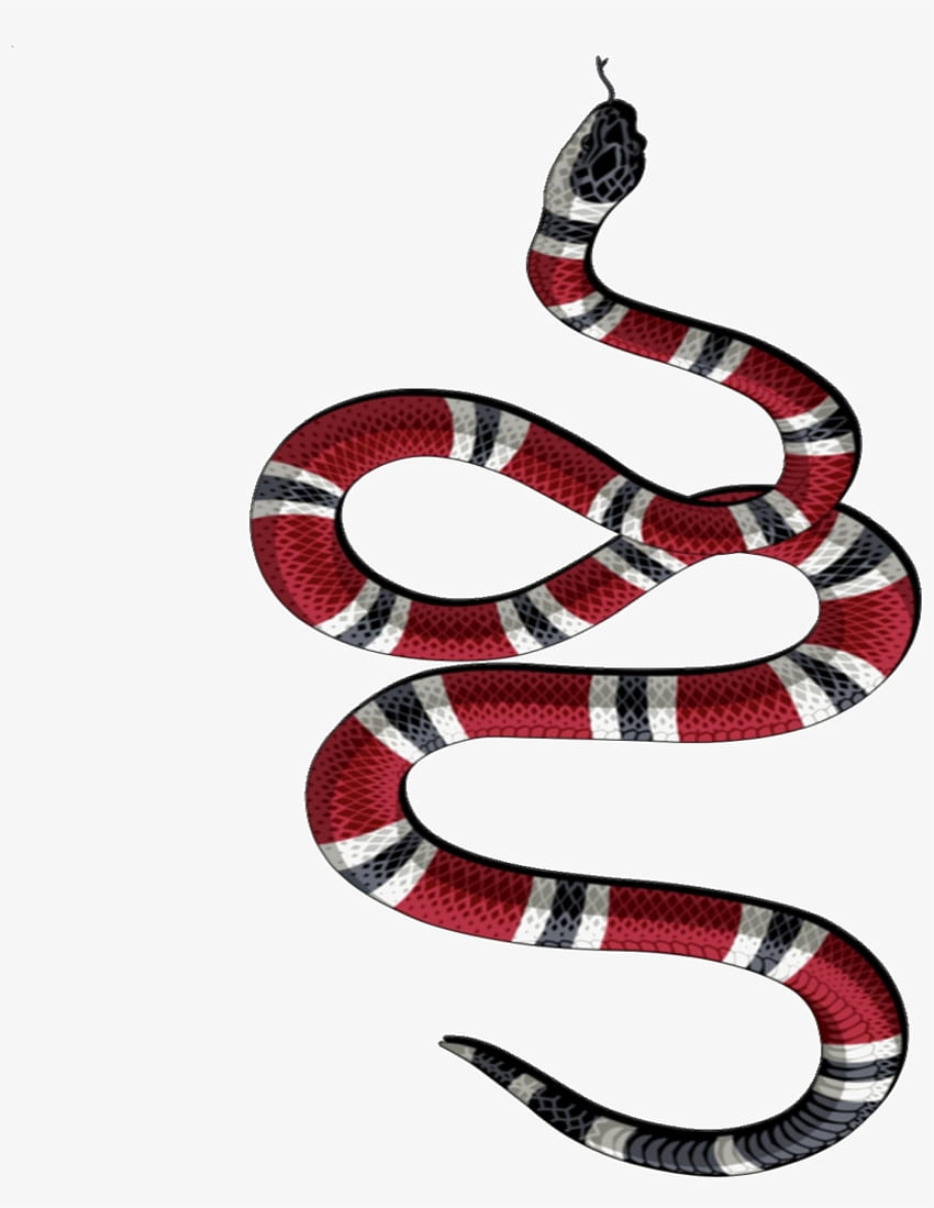 Snake png HD wallpapers | Pxfuel