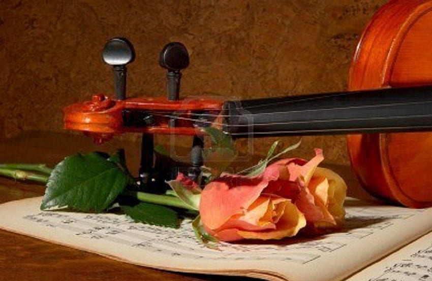 빈티지 정물화, 음악 책, 정물화, 장미, 바이올린, 빈티지 HD 월페이퍼