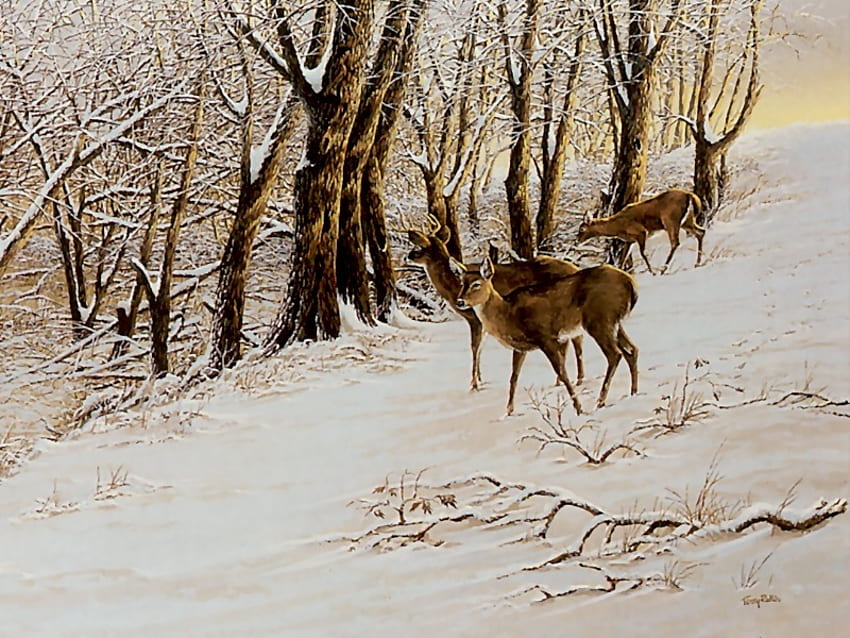 野原から戻って、テリー・レッドリン作、絵画、アート、鹿、テリー・レッドリン、雪、木 高画質の壁紙