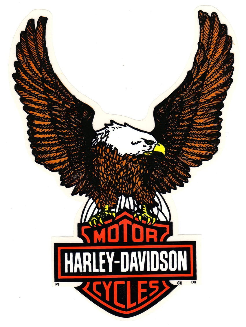 Harley davidson eagle - Harley, Harley-Davidson Eagle HD phone wallpaper |  Pxfuel
