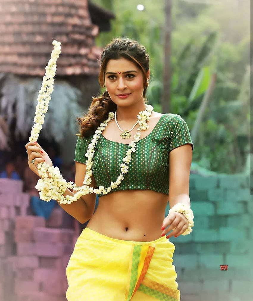 Payal Rajput, актриса, пъп, цветя, юг, горещо HD тапет за телефон