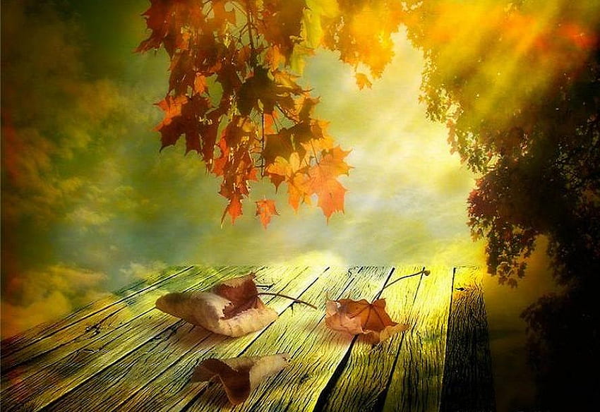 Liście w słońcu, zielona pomarańcza, promienie, liście, światło słoneczne, drzewa, jesień, drewniane deski, złoto Tapeta HD