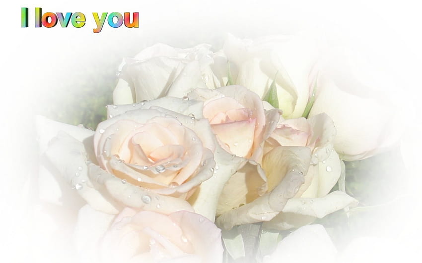 Roses of Love, roses, art, love, i love you HD wallpaper