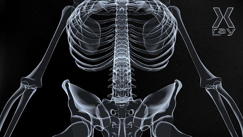 X Ray, Radiography HD wallpaper