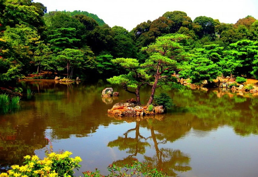 Japanischer Park, japanisch, Garten, schön, schön, See, Park, Reflexion, Bäume, Natur, Himmel, Wasser, ruhig, schön, Teich HD-Hintergrundbild
