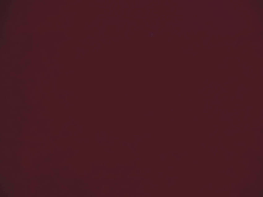 Burgunderfarbe -, Burgunderfarbener Hintergrund auf Fledermaus HD-Hintergrundbild