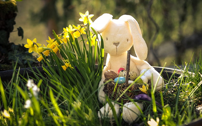 Великденско зайче, плюшено зайче, пролет, великденски яйца, заек с кошница, Великден за с резолюция . Високо качество HD тапет